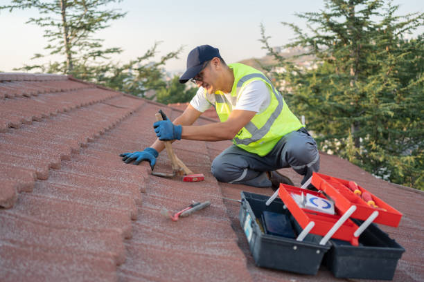 Best Flat Roof Repair Services  in Parchment, MI