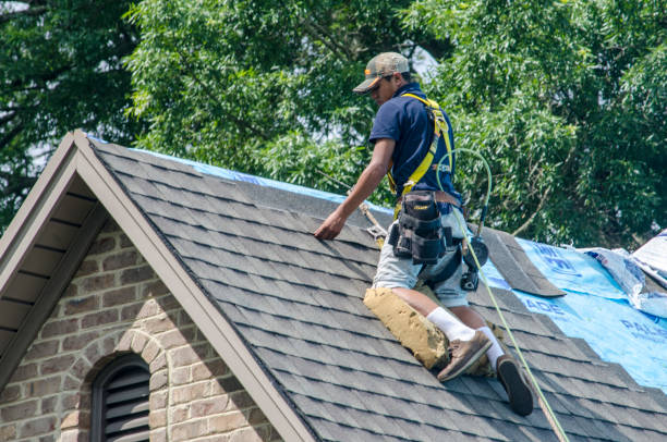 Best Roof Repair Services  in Parchment, MI